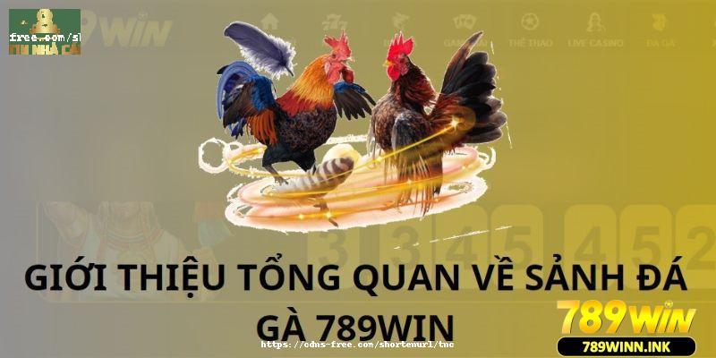Cách chơi đá gà 789Win là như thế nào?