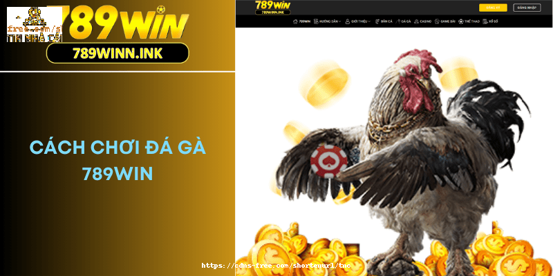 Cách Chơi Đá Gà 789Win